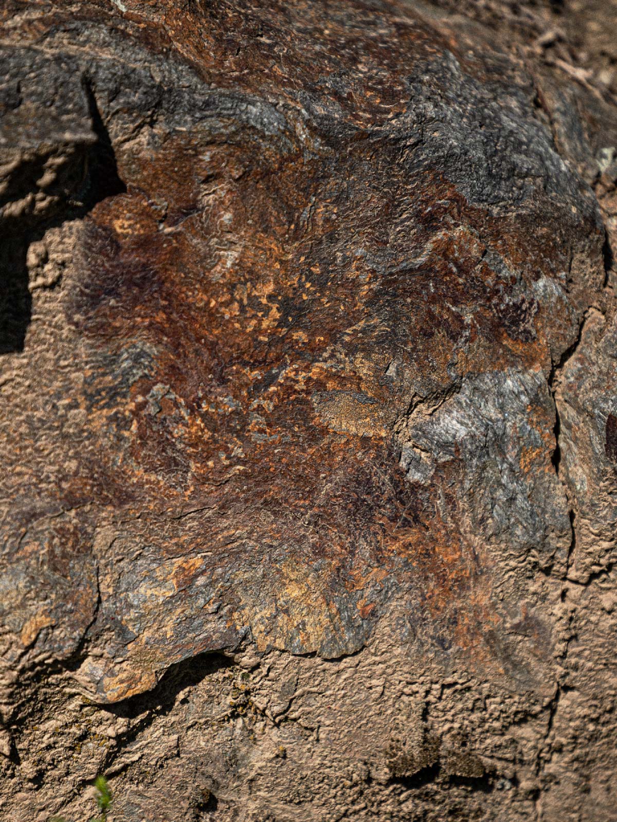 Schist Happens — Wein-Etikett